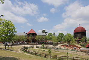 Mokumoku Tezukuri Farm