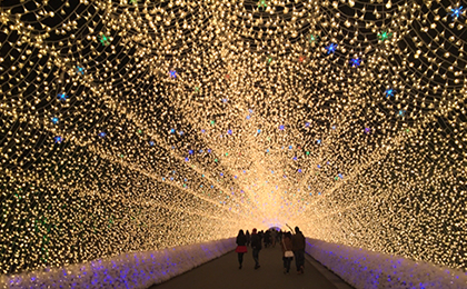 Nabana no Sato illumination