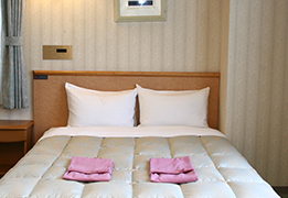 A Single Room with a 140 cm-wide double bed