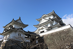 伊賀上野城